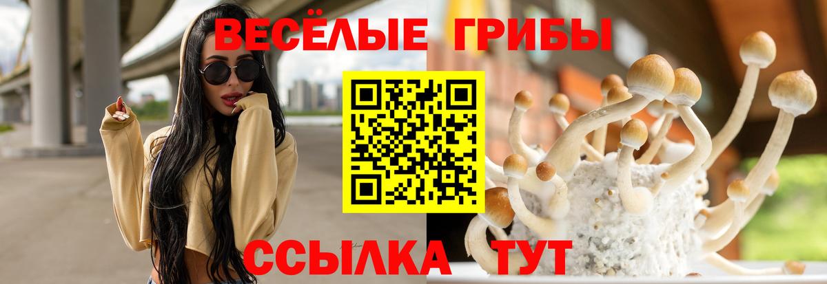 Галлюциногенные грибы GOLDEN TEACHER Нововоронеж